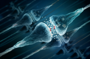 neurotransmetteur-1.png neurotransmetteur-1.png